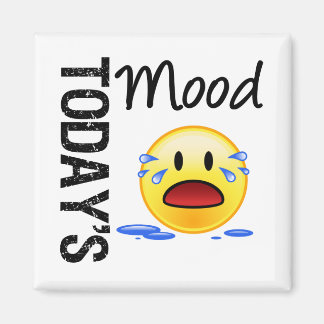 Today's Mood Emoticon Crying Magnet