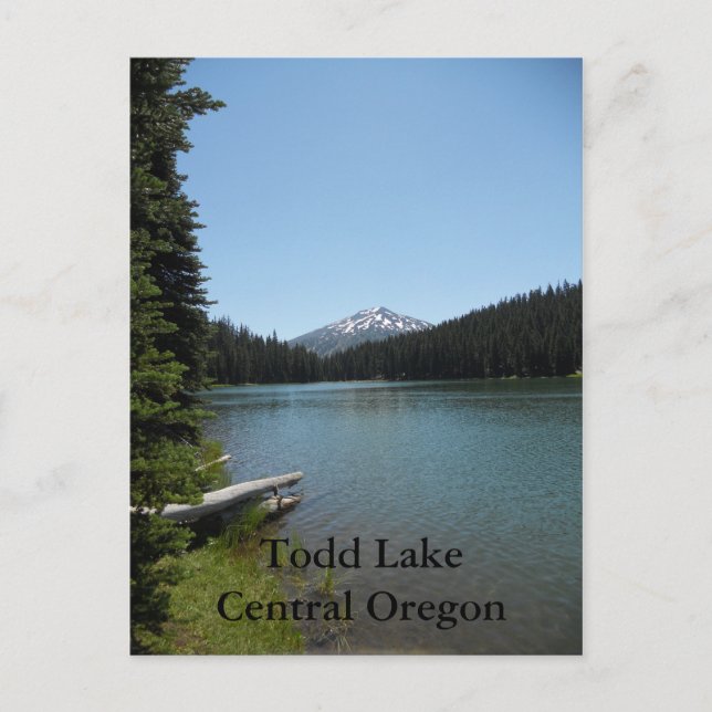 Todd Lake Central Oregon Postcard (Front)