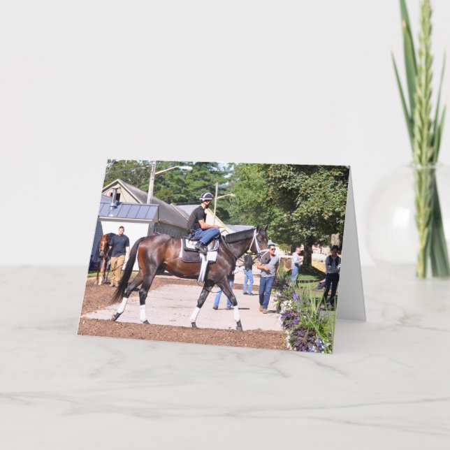 Todd Pletcher Stables Card (Front)