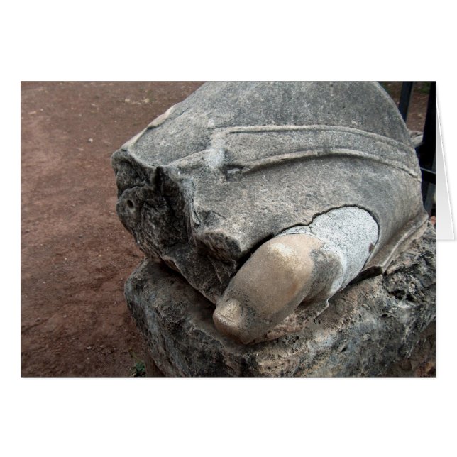 Toe of Statue in Roman Ruins (Front Horizontal)