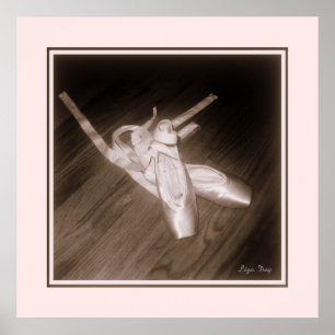 'Toe Shoes' Panel Print (Rose)