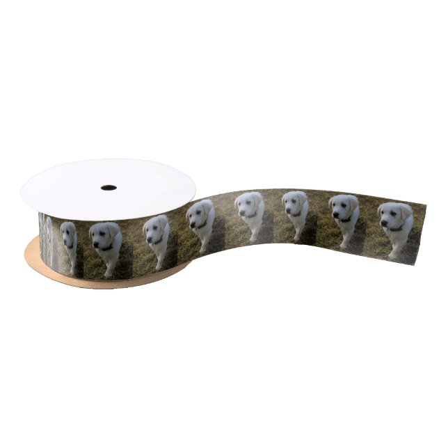 Toffee Satin Ribbon (Spool)