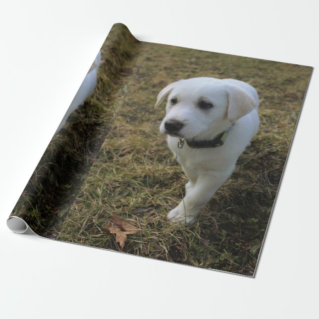 Toffee Wrapping Paper (Unrolled)