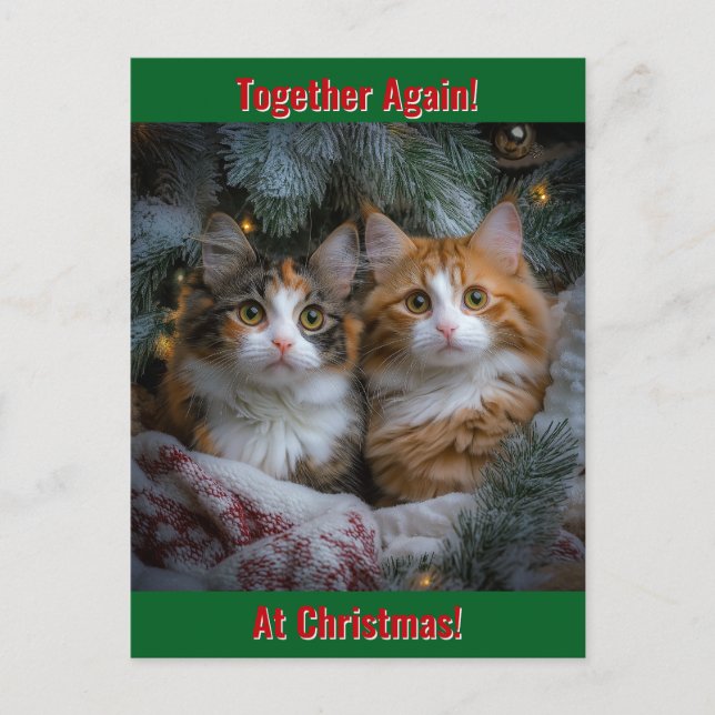 Together Again at Christmas! Holiday Postcard (Front)