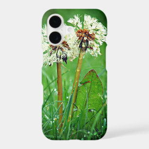 Together. Always Two Dandelions with raindrops