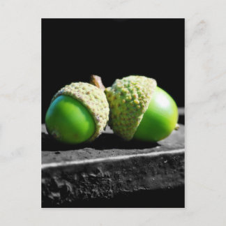 Together Forever Postcard