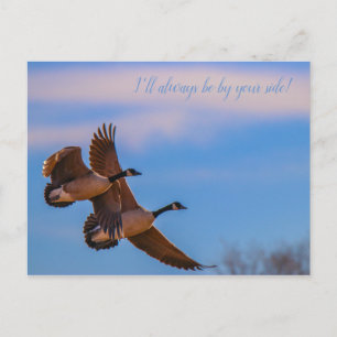 together postcard