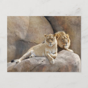 Together Postcard