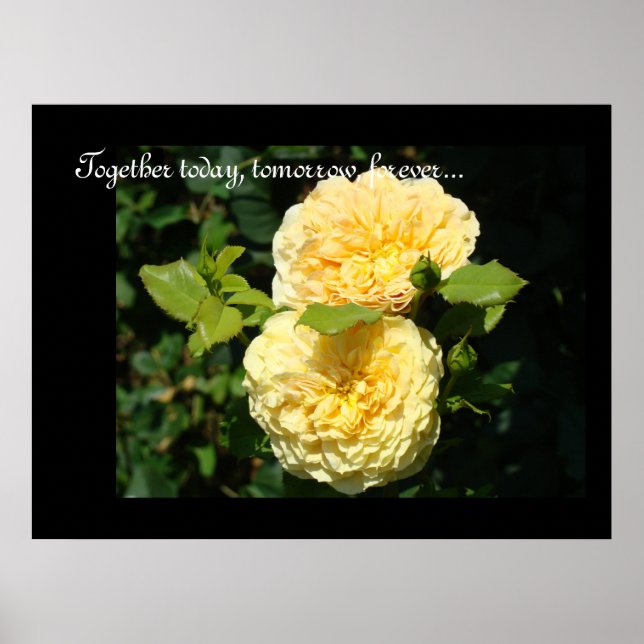 Together Today Tomorrow Forever art print Roses (Front)