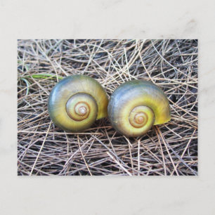 Together Warm Postcard