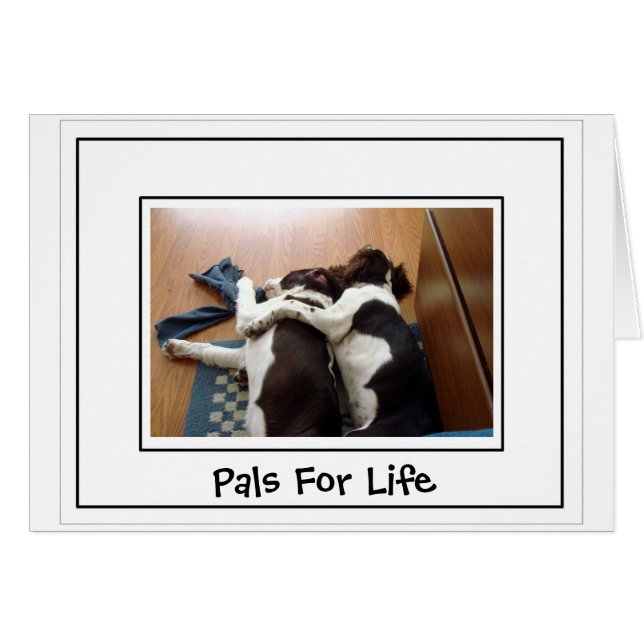 Togetherness (Front Horizontal)