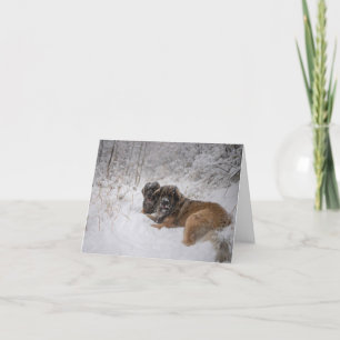 Togetherness Holiday Card