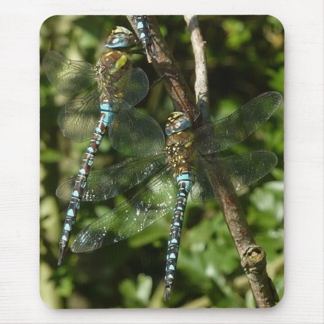 Togetherness! Mouse Pad (Front)