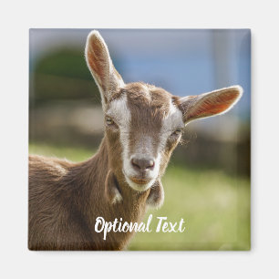 Toggenburg Dairy Goat Kid Magnet