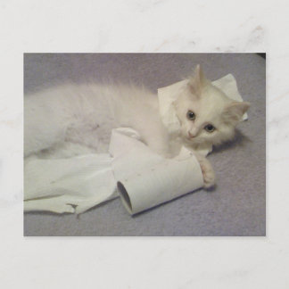 toilet paper fun postcard