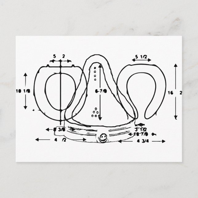 toilet seat postcard (Front)