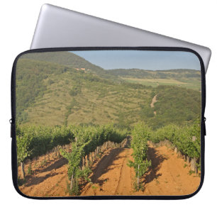 Tokaj vineyards, Hungary Laptop Sleeve