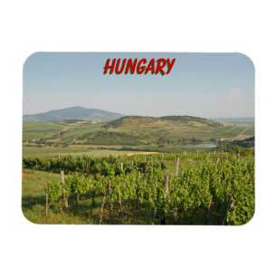 Tokaj vineyards, Hungary Magnet