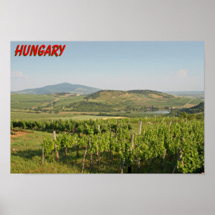 Tokaj vineyards, Hungary Poster