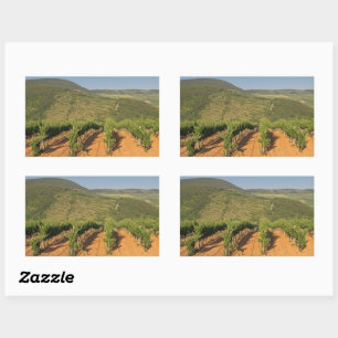 Tokaj vineyards, Hungary Rectangular Sticker