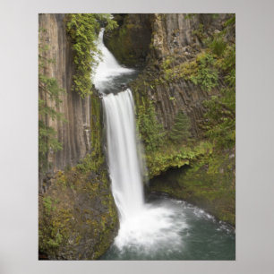 Toketee Falls in Douglas county, Oregon Poster