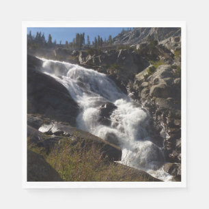 Tokopah Falls II at Sequoia National Park Napkin