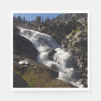 Tokopah Falls II at Sequoia National Park Napkin