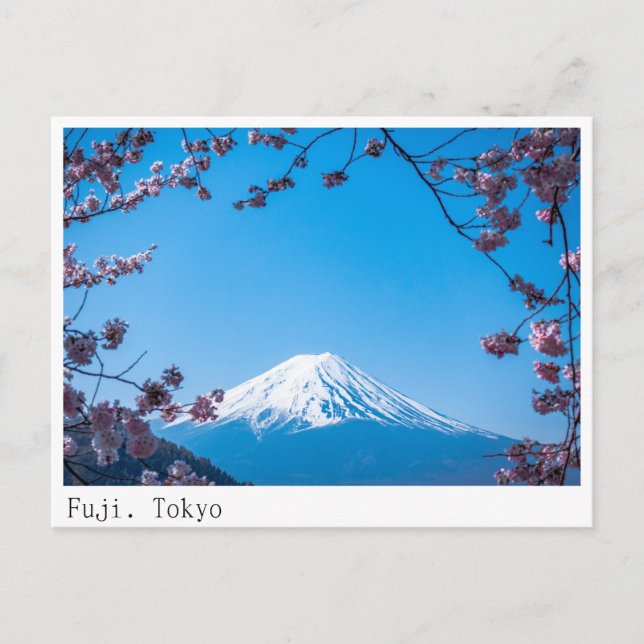 Tokyo, Fuji mountain Postcard (Front)