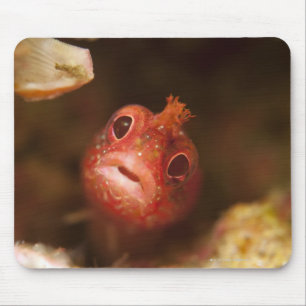 Tokyo, Japan 2 Mouse Pad