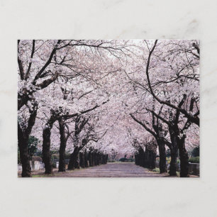 TOKYO POSTCARD