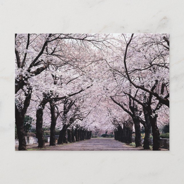 TOKYO POSTCARD (Front)