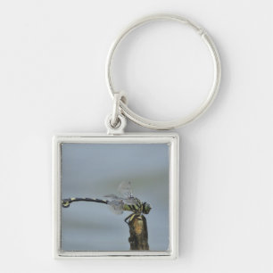 Tokyo Prefecture, Honshu, Japan 2 Key Ring