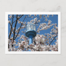 Tokyo Streetlights: Den'en Chofu