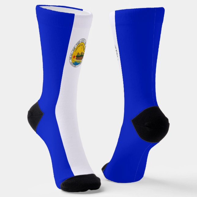 Toledo (Ohio) city flag Socks (Angled)