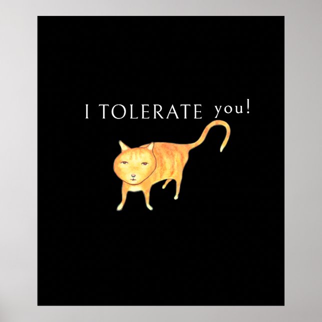 Tolerant Apathetic Orange Cat Poster (Front)