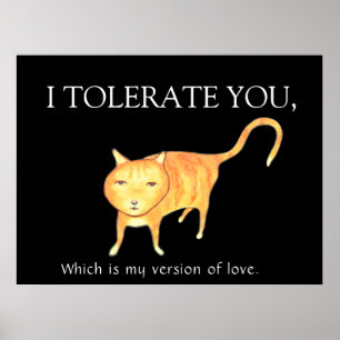 Tolerant Apathetic Orange Cat Poster