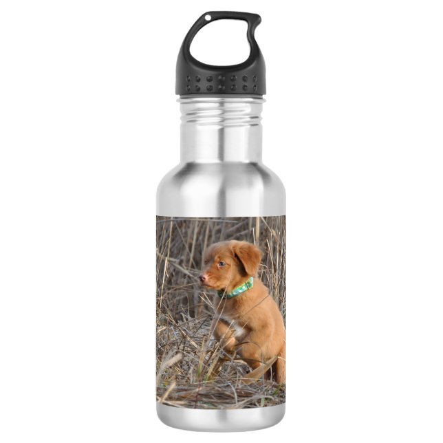 Toller puppy Water Bottle, Stainless Steel, 18 oz 532 Ml Water Bottle (Front)