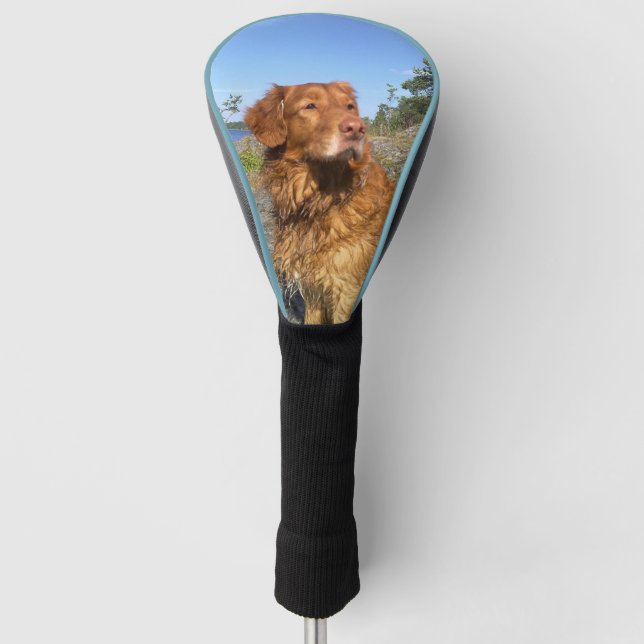 toller wet golf head cover (Front)