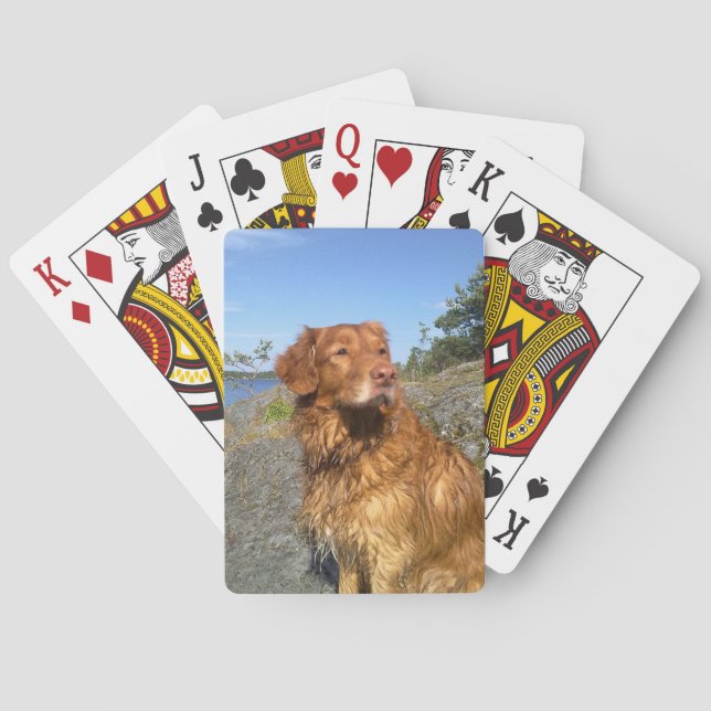 toller wet playing cards (Back)