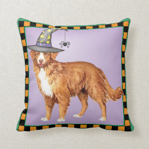 Toller Witch Cushion