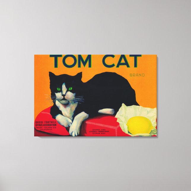 Tom Cat Lemon LabelOrosi, CA Canvas Print (Front)