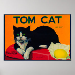 Tom Cat Lemon LabelOrosi, CA Poster