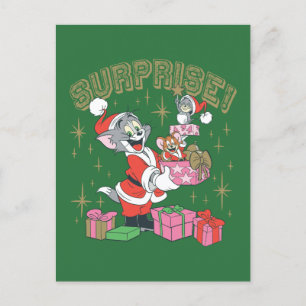 Tom, Jerry, and Nibbles Holiday Surprise