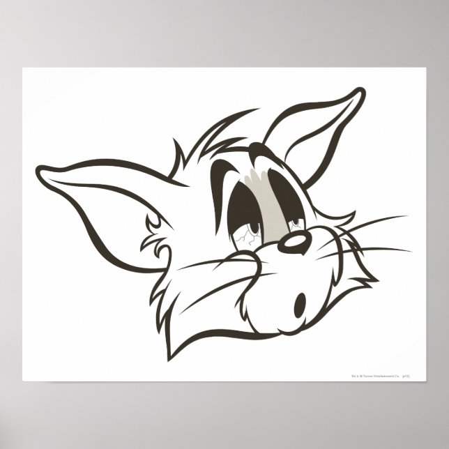 Tom Sleepy Cat Poster (Front)