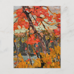 Tom Thomson - Twisted Maple Postcard