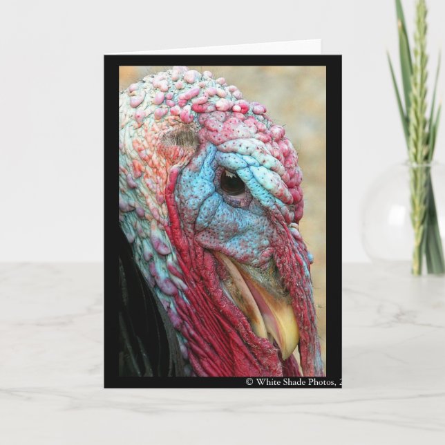 Tom Turkey Holiday Card (Front)