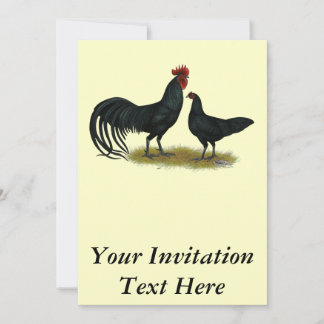 Tomaru Long Crower Chickens Invitation