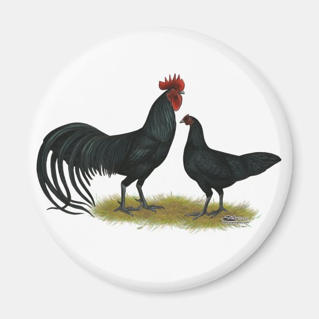 Tomaru Long Crower Chickens Magnet (Front)