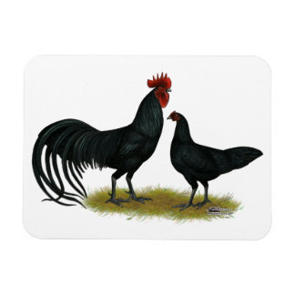 Tomaru Long Crower Chickens Magnet