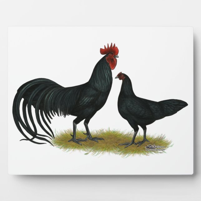 Tomaru Long Crower Chickens Plaque (Front)